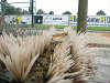 egvv_picture 017.jpg